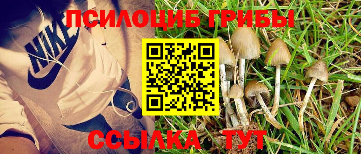 Галлюциногенные грибы мицелий  Галлюциногенные грибы Cubensis  Вход с VPN  Ноябрьск 
