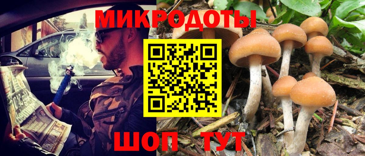 Псилоцибиновые грибы мицелий Ноябрьск